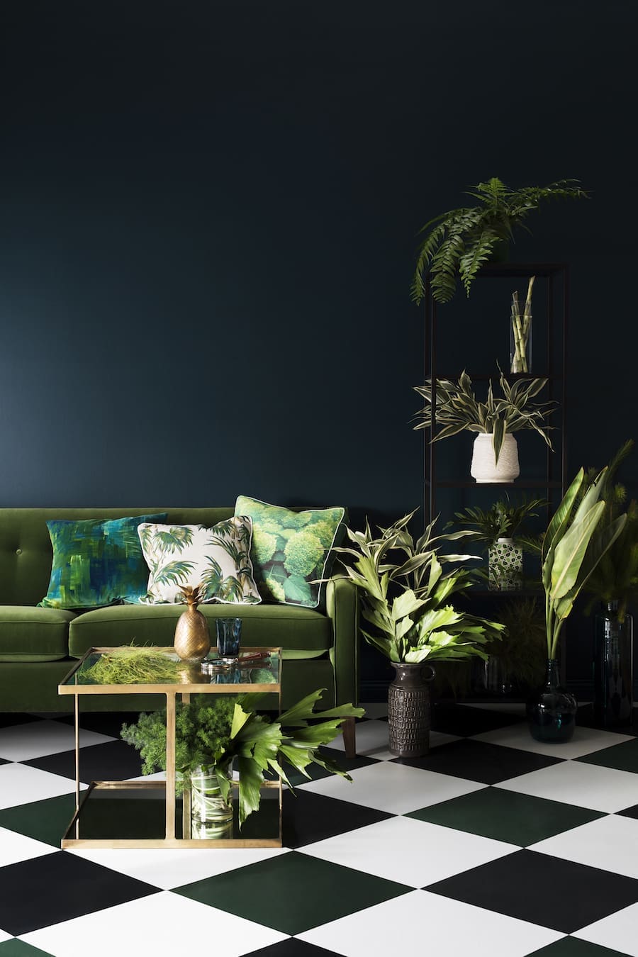 Haymes 2015 Colour Forecast