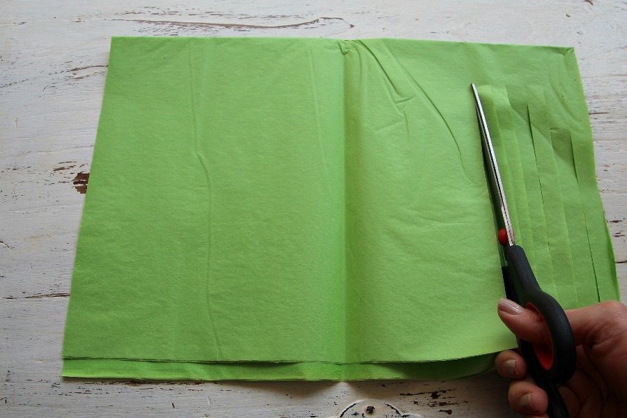 Cut along length of tissue paper