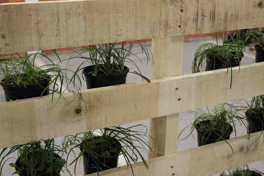 Simple vertical garden