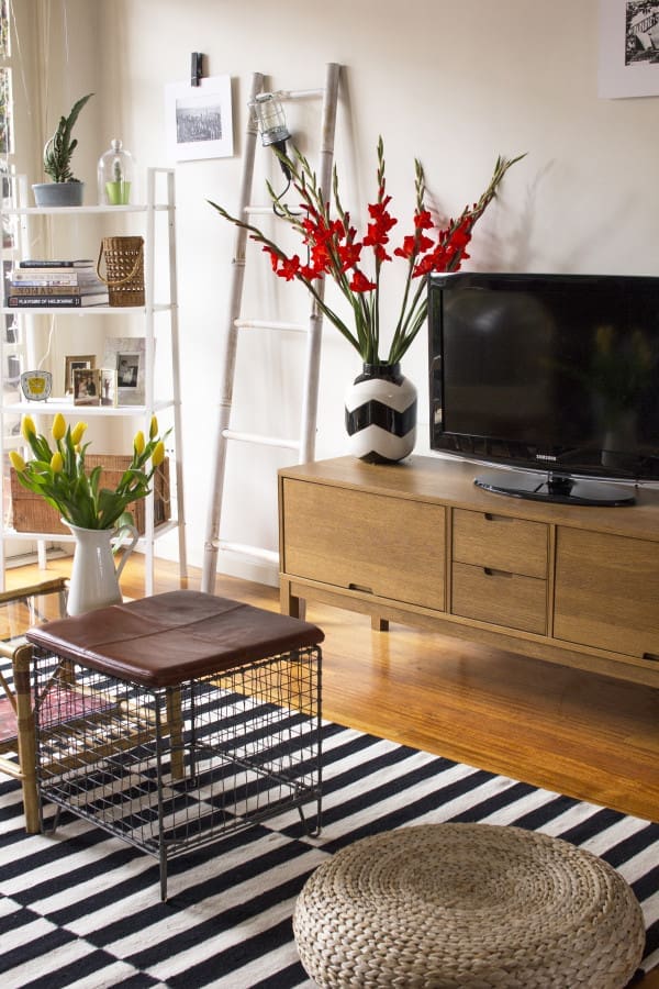 Living room cabinet