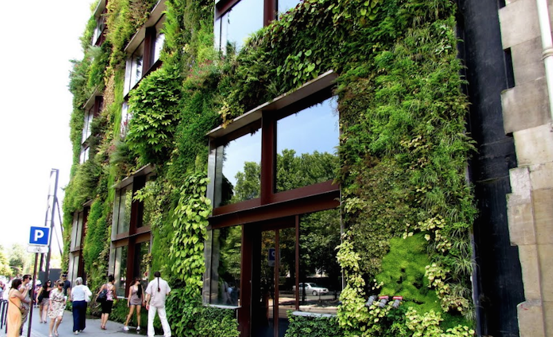 Vertical garden things I'd love in my home