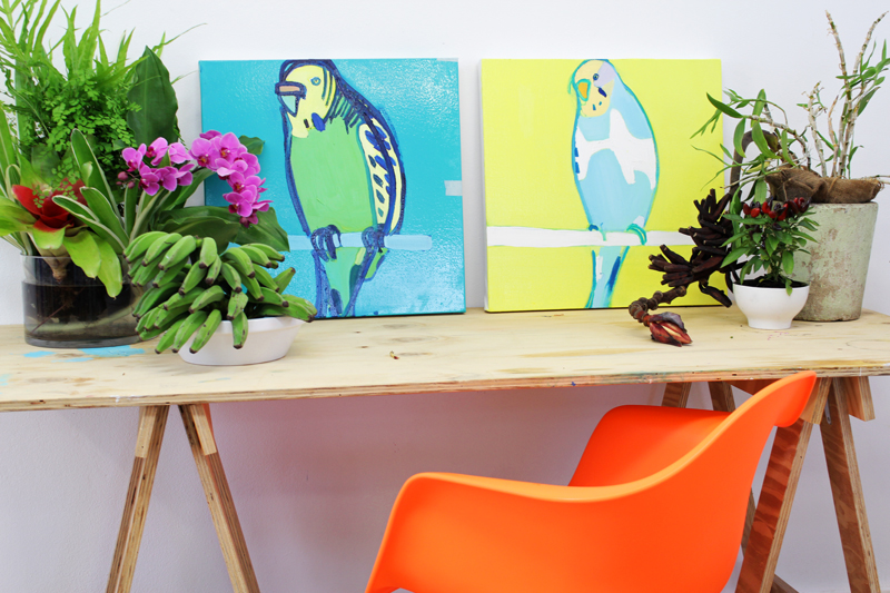 Two budgie paintings