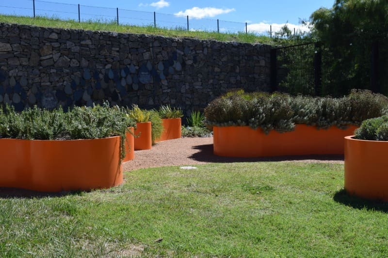 Bright concrete garden