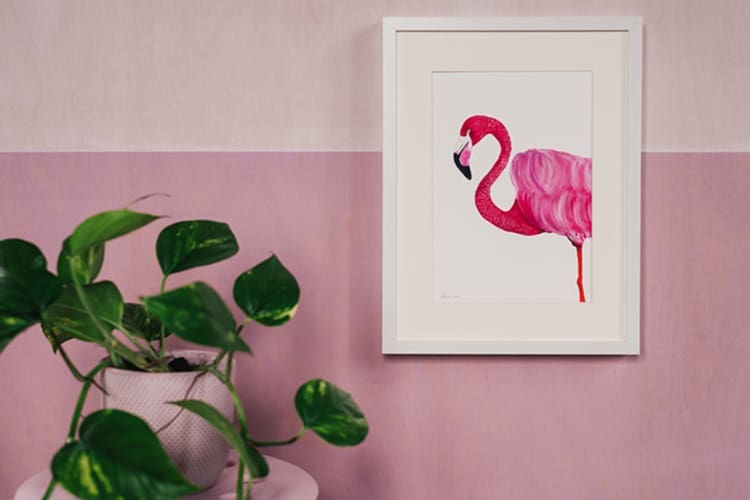 Pink flamingo