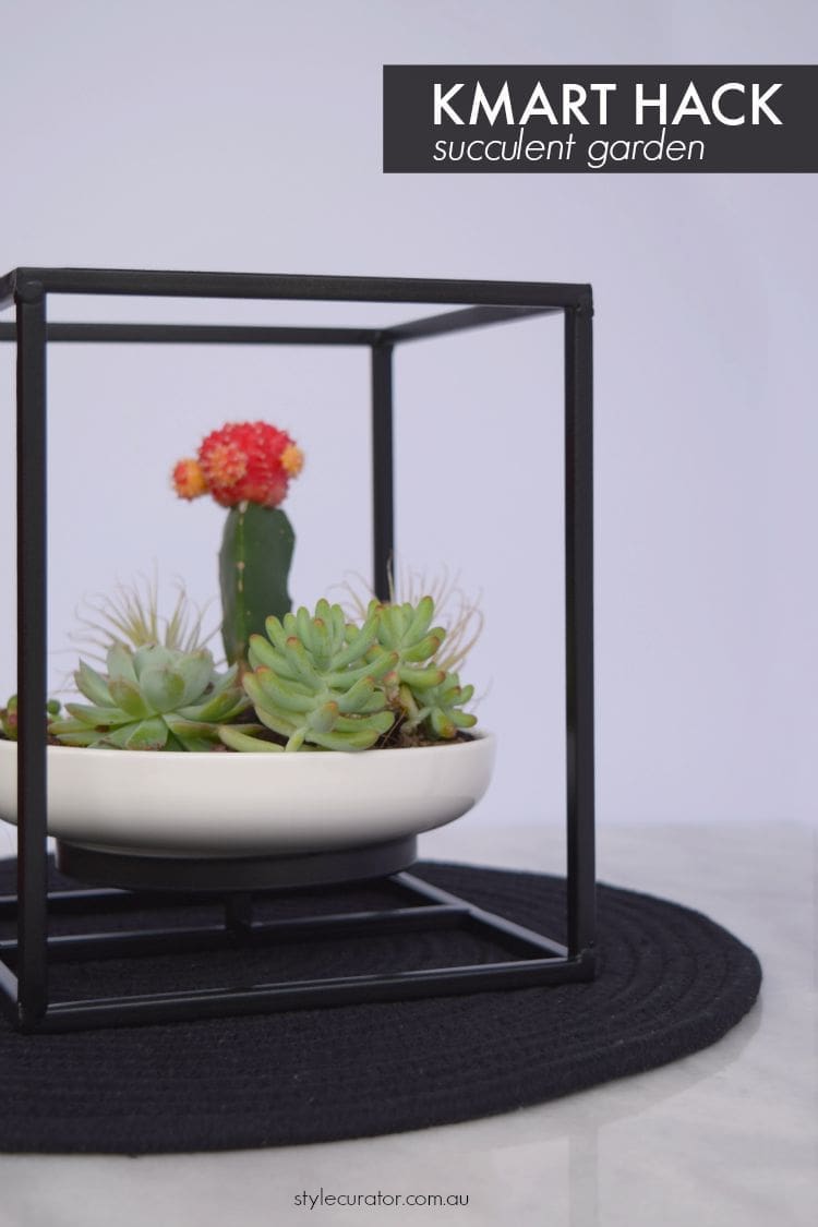 Kmart hack succulent garden pin