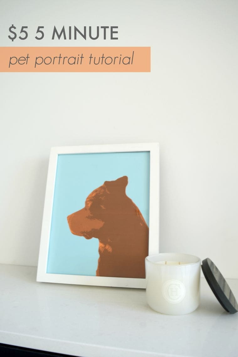 Pinterest image pet portrait