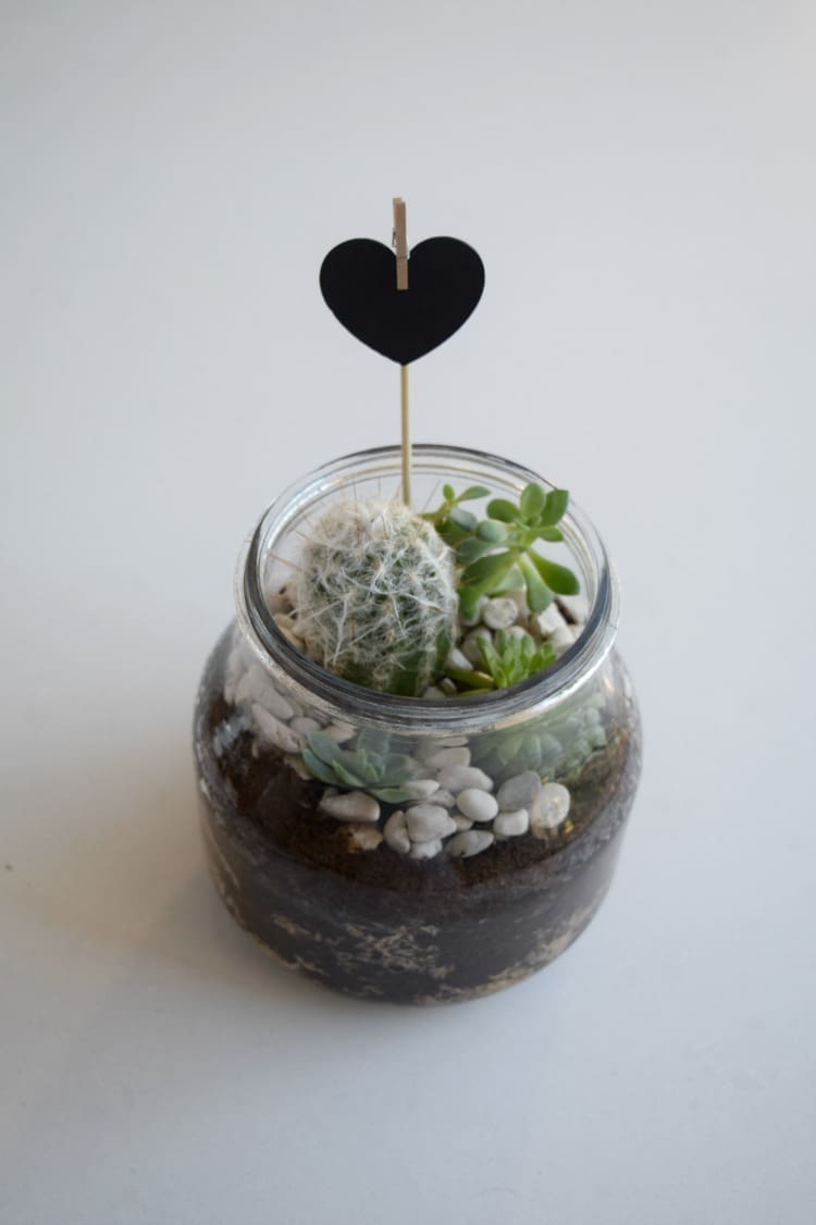 DIY terrarium