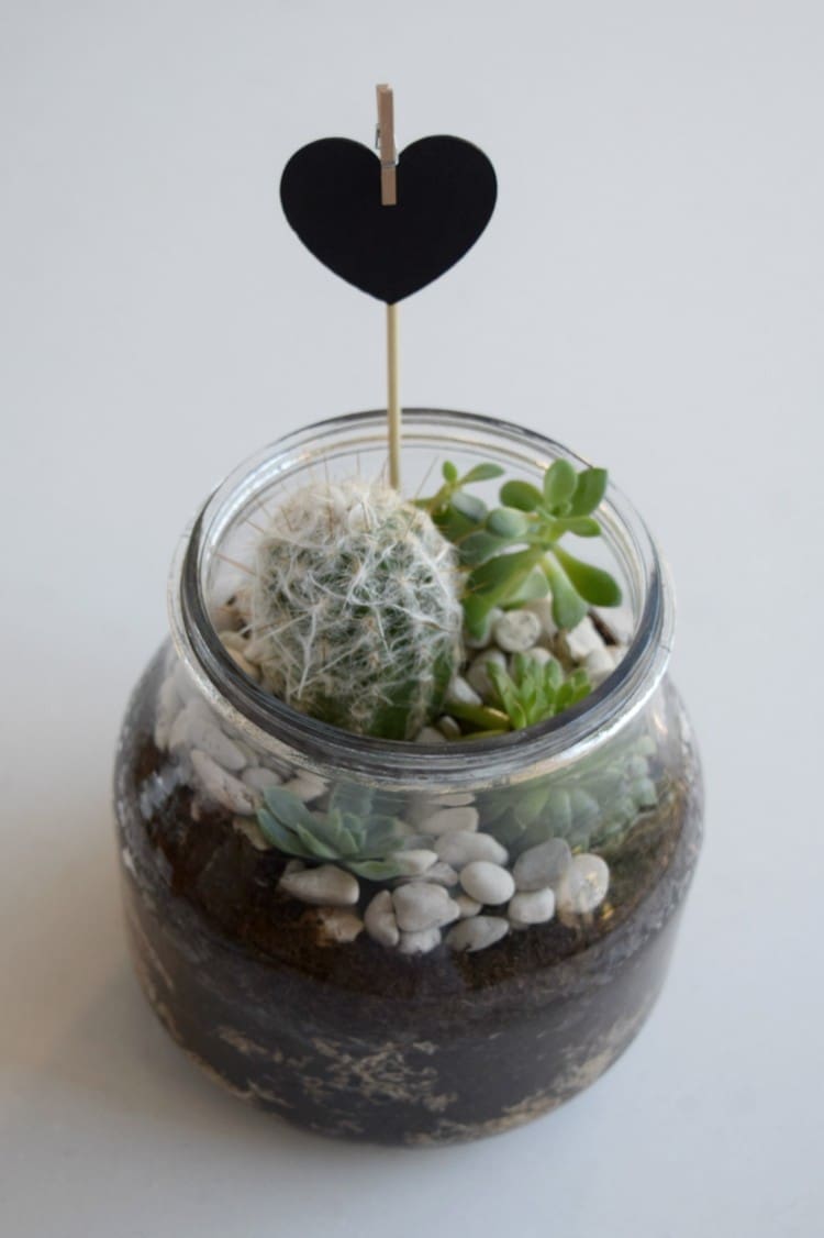 Finished terrarium