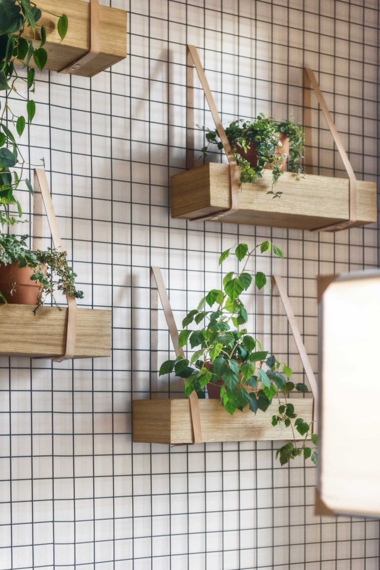 Vertical garden