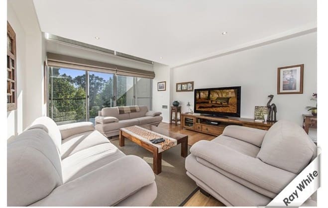 Sun-filled living room