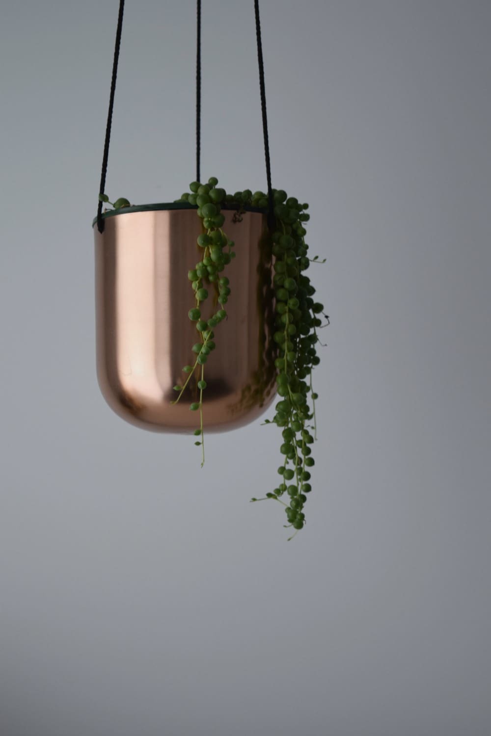 Hanging planter