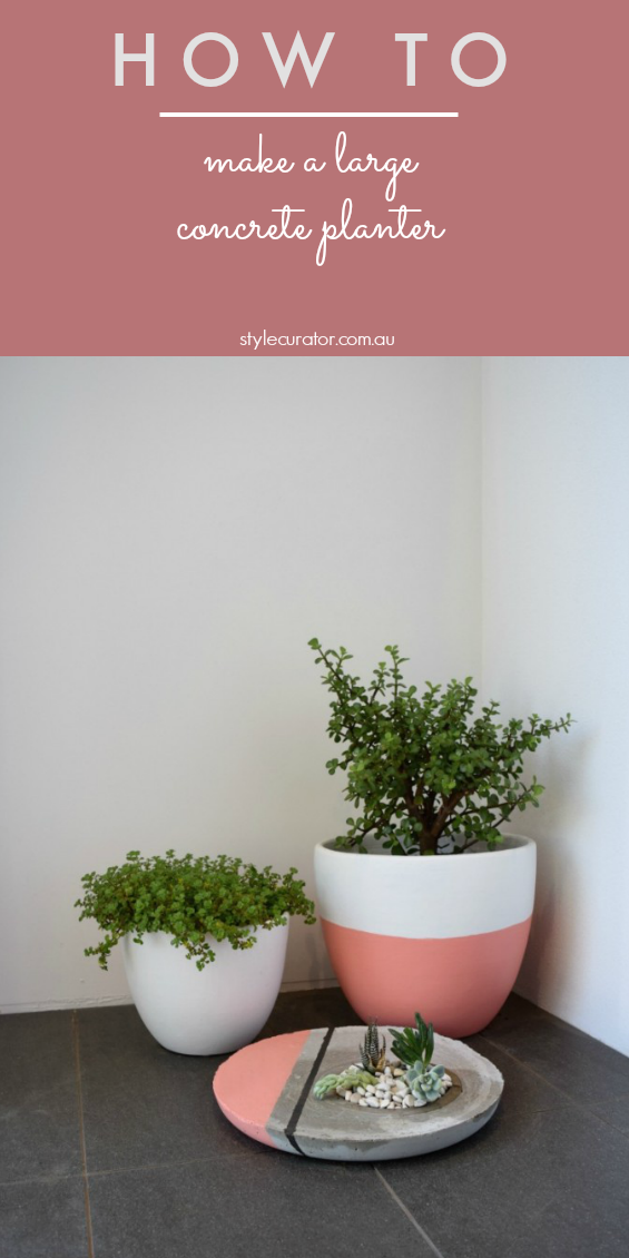 Pinterest image for concrete planter