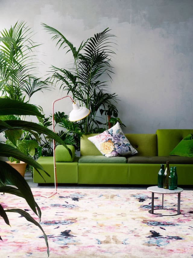 Green sofa and lush indoor plants