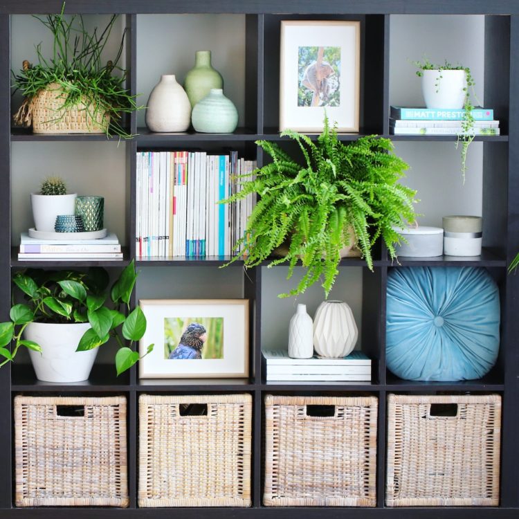 Bookcase styling