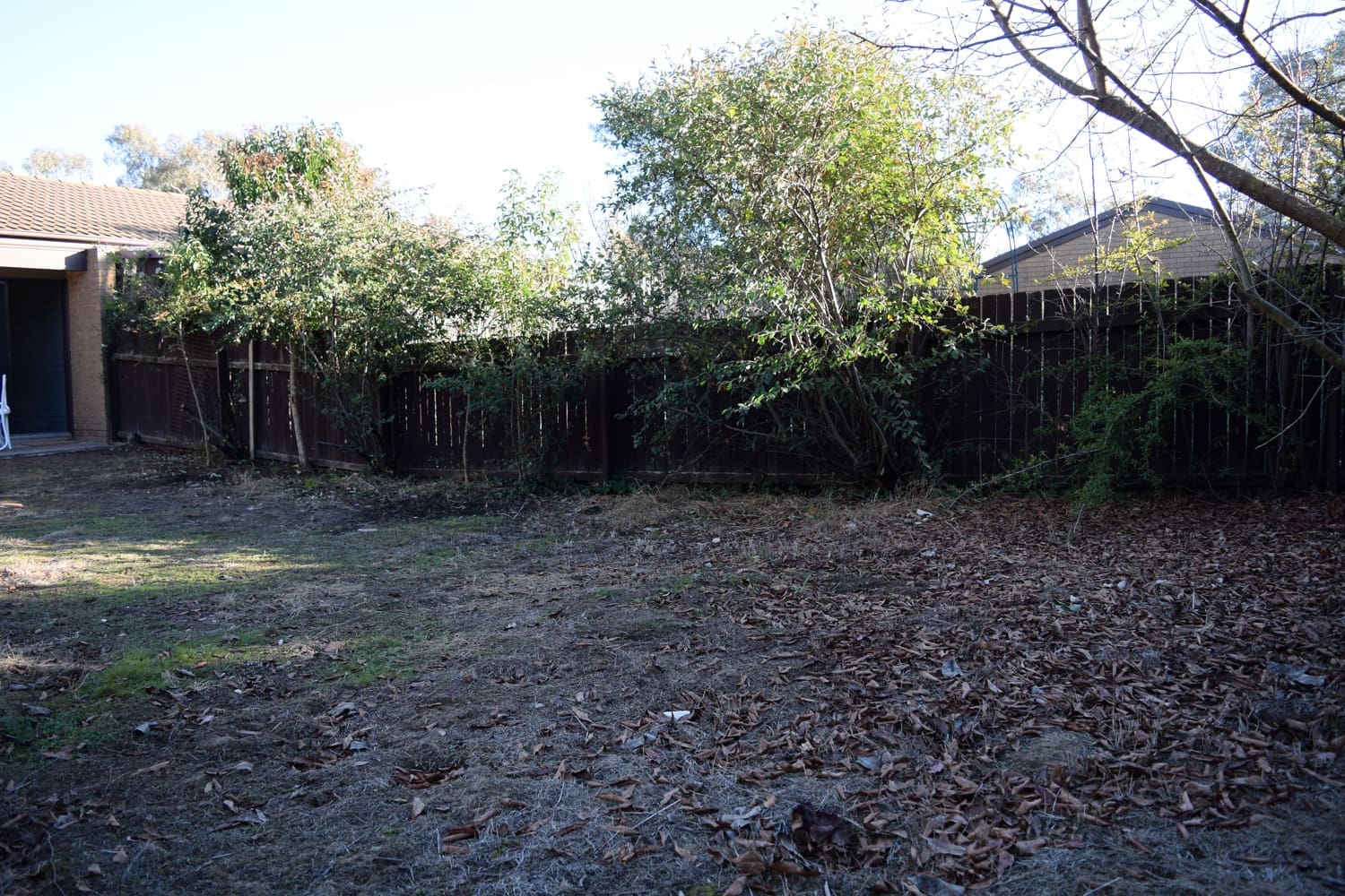 Bonnie backyard before