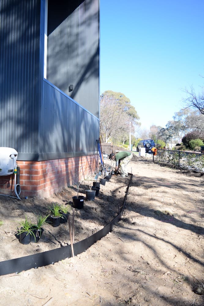 Airtasker placing plants