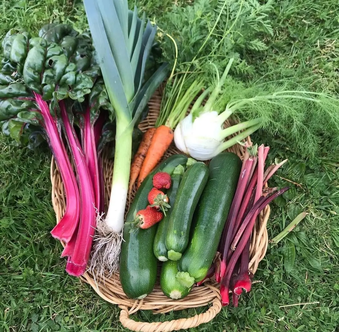 Freshly grown spring vegetables and fruit