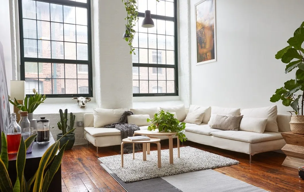 Indoor plants decorating hacks for rental