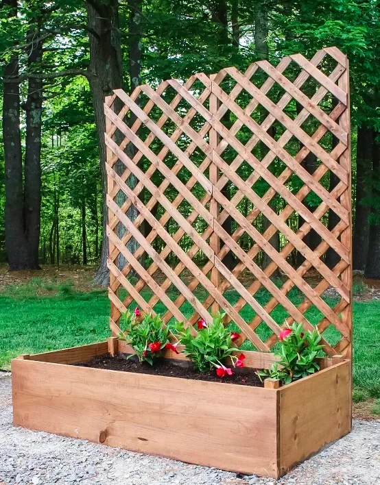 Garden trellis planter