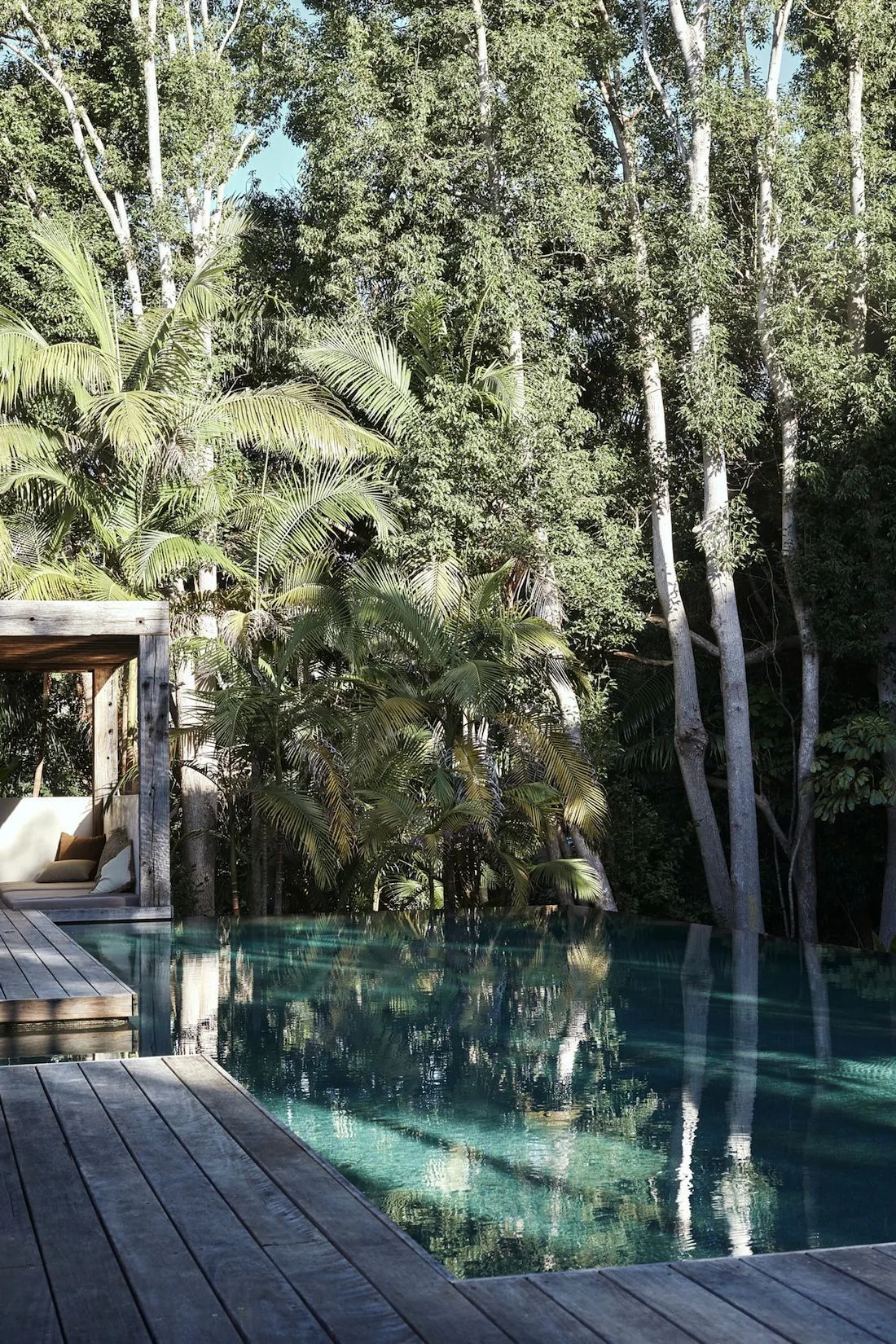 Pool with rainforest outlook