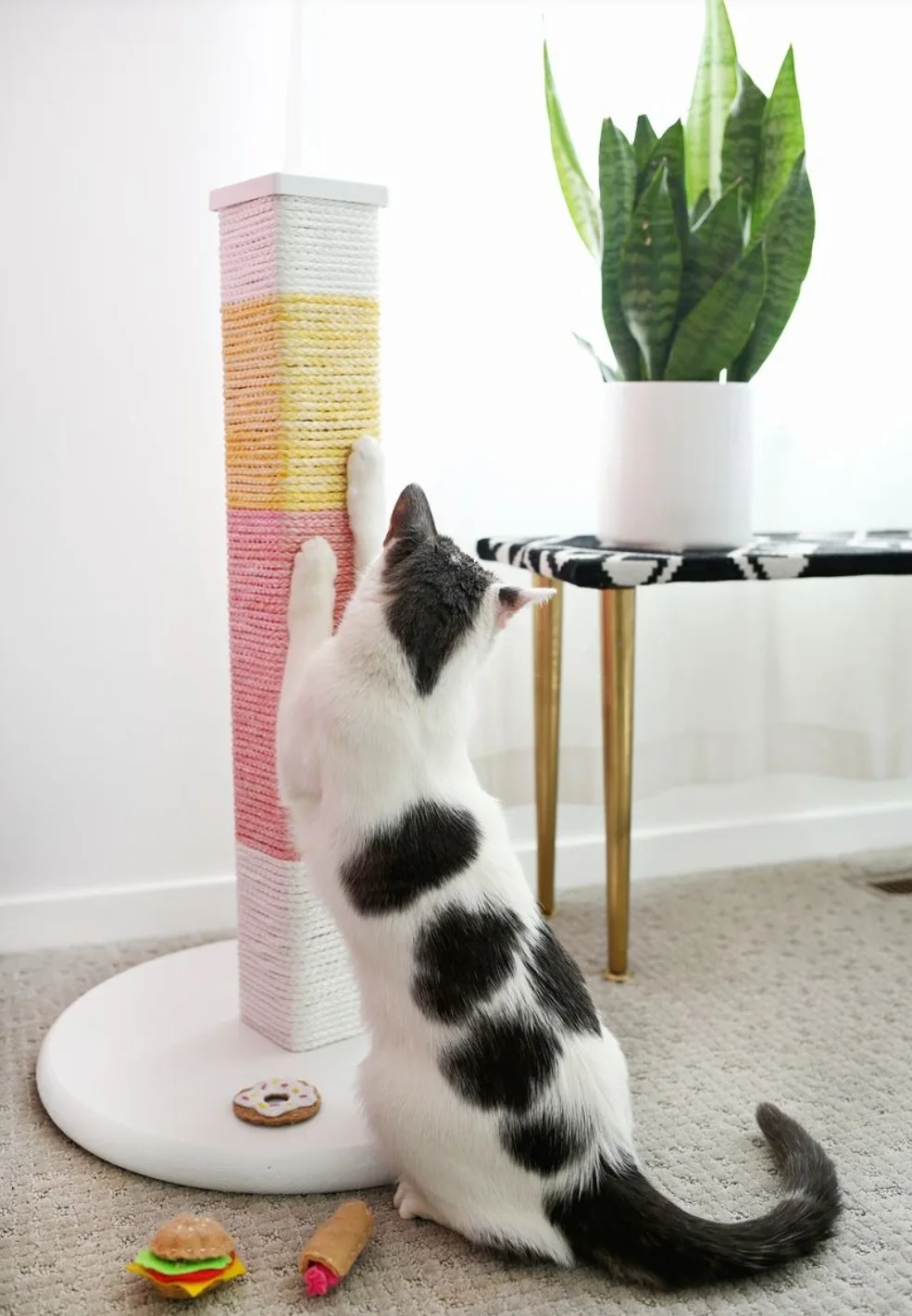 Colour block scratching post