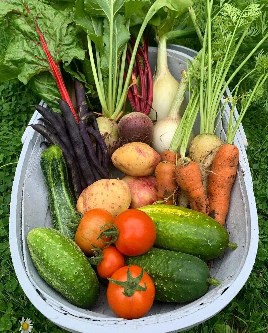 Autumn veggie haul