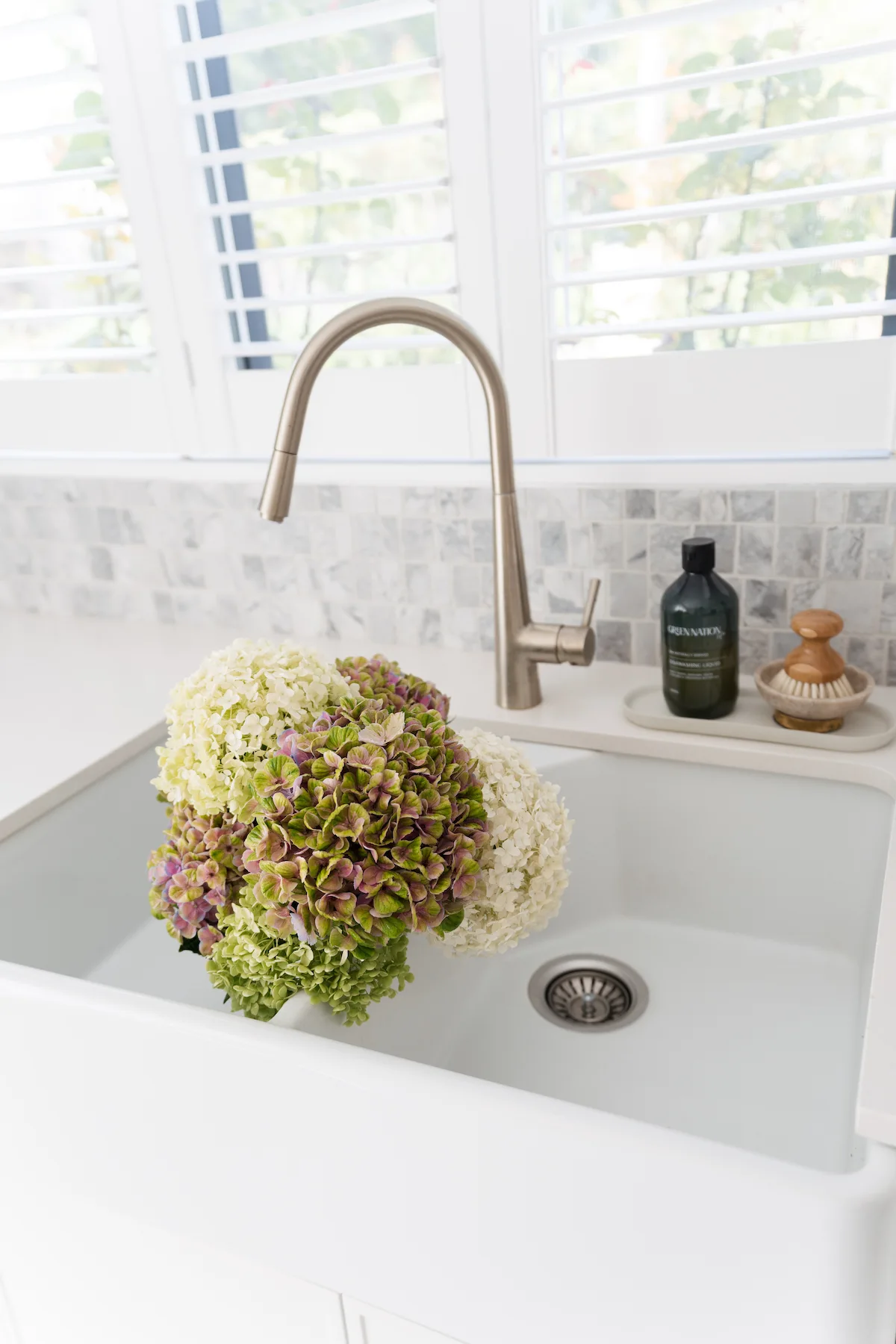 Beautiful green pink and white hydrangea flowers