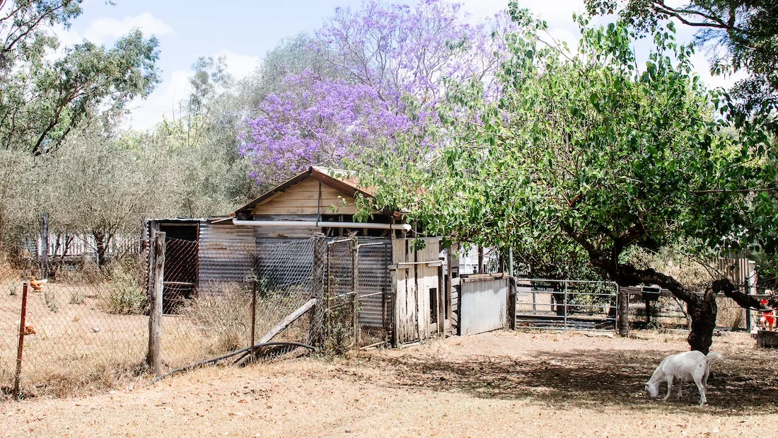 Summerholm House shed and grounds