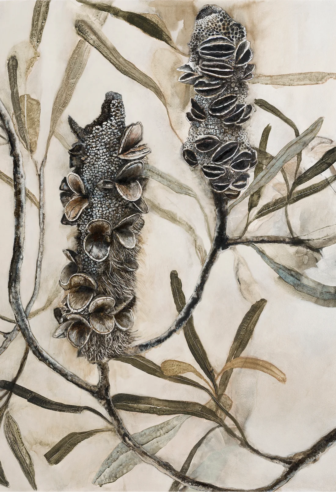 Contemporary art Beachside Banksia by Alissa Wright