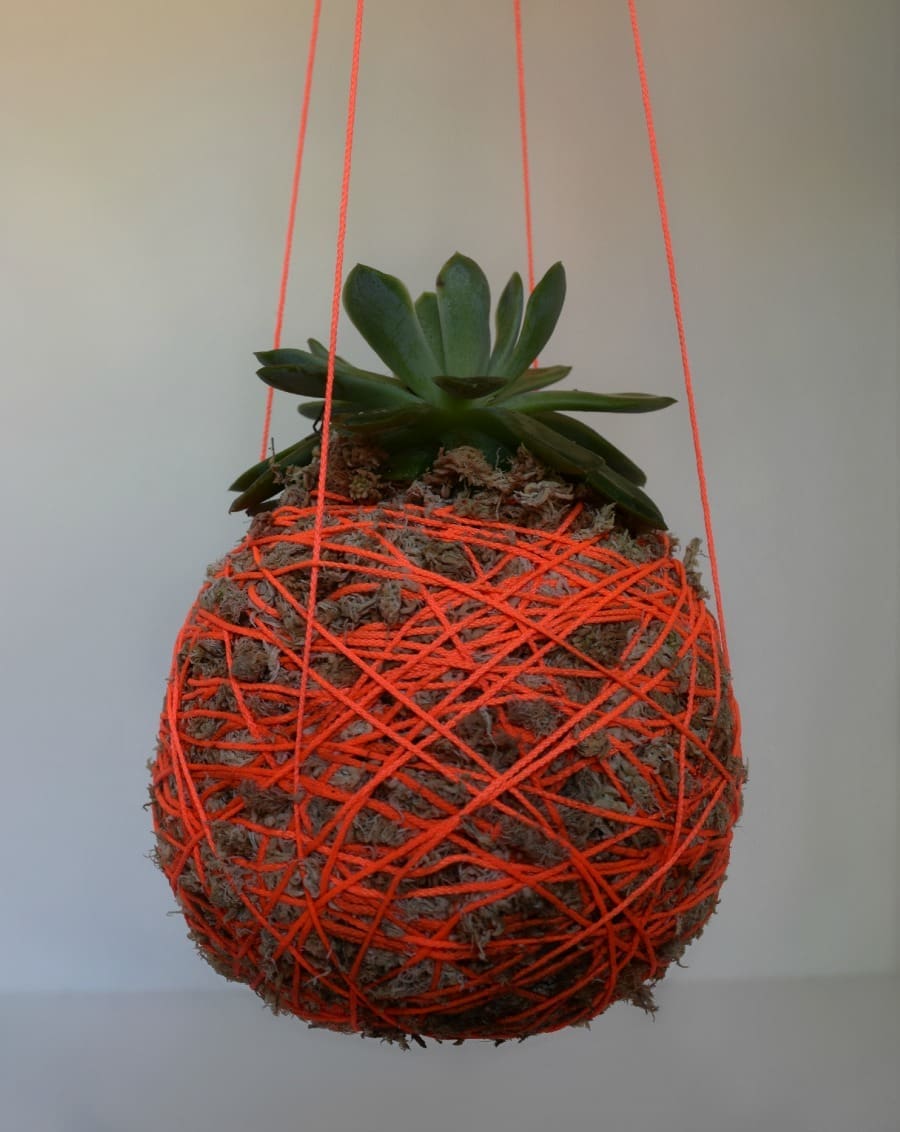 Living Moss Ball Tutorial