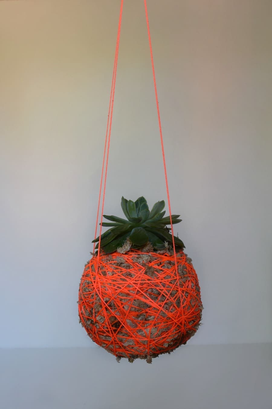 DIY Hanging moss planter