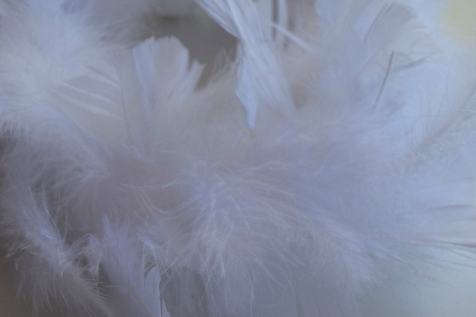 Close up of DIY feather wreath