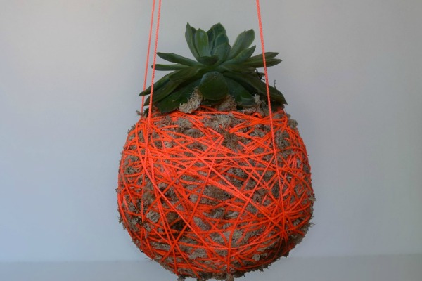 DIY kokedama (aka DIY hanging moss ball planter)