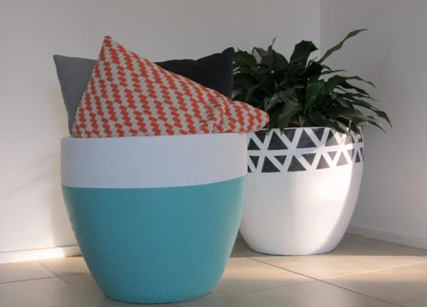 Two pot plant looks at Haymes blog