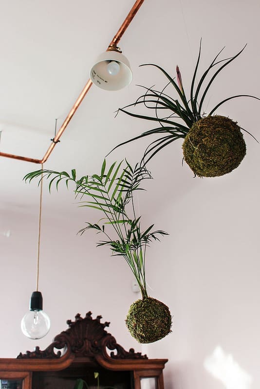 Hanging planter balls Ideas to display indoor plants