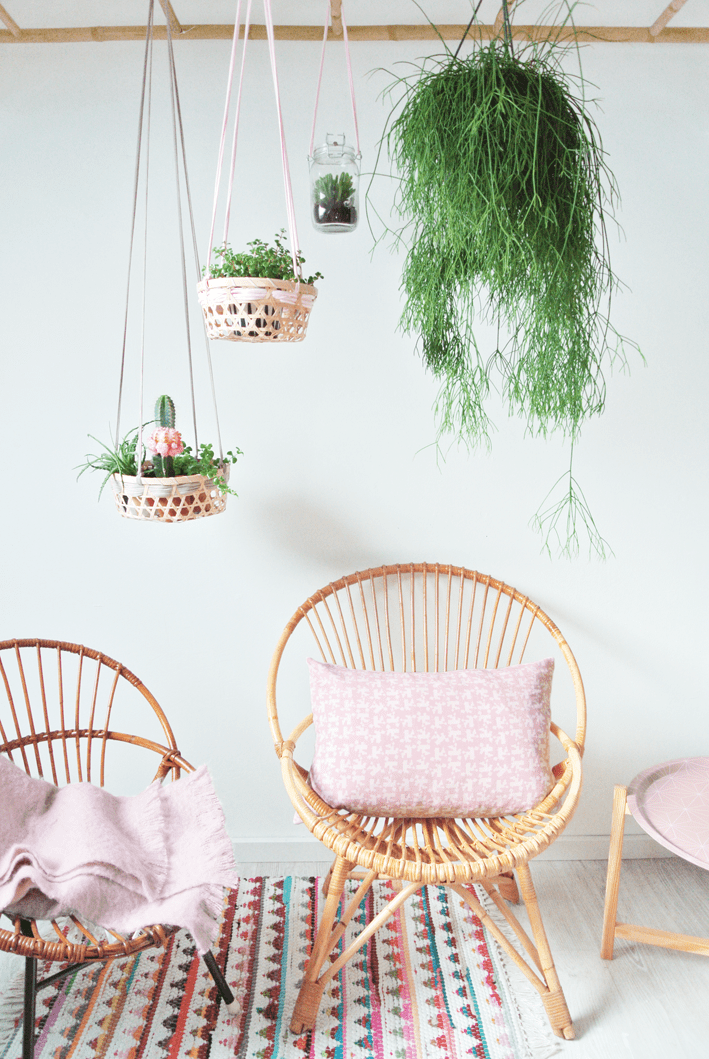 Hanging planter Ideas to display indoor plants