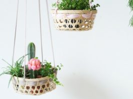 Top 9 indoor plant ideas feature