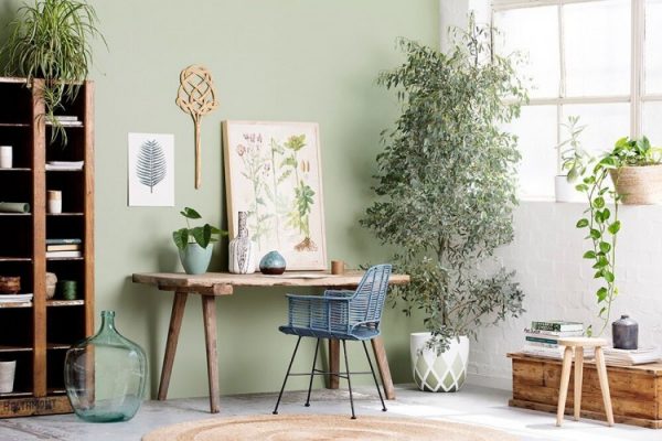 A look at the latest colour trends from Haymes, The Colour Library