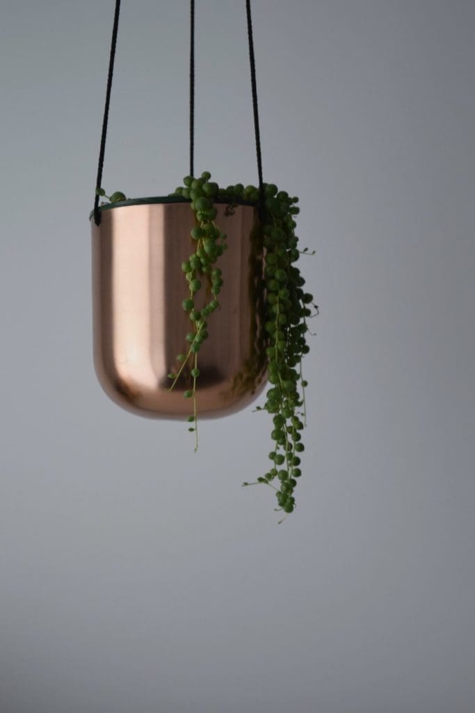 Hanging planter