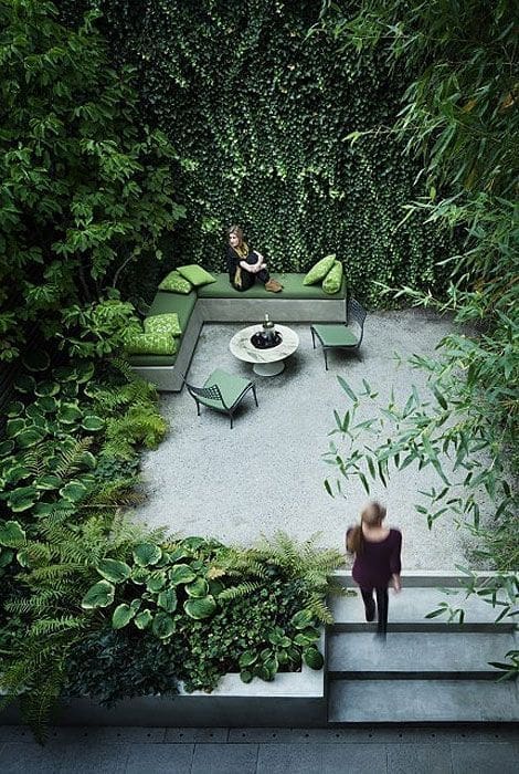 Lush green courtyard