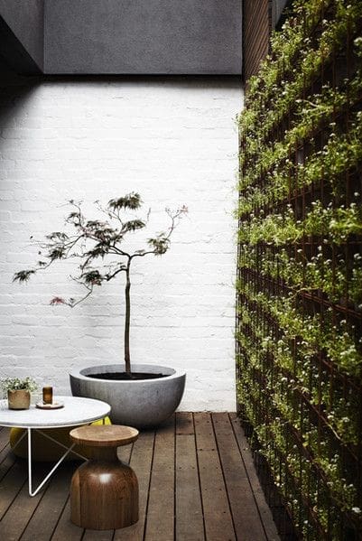 Vertical garden wall