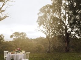 Spring high tea in the woods