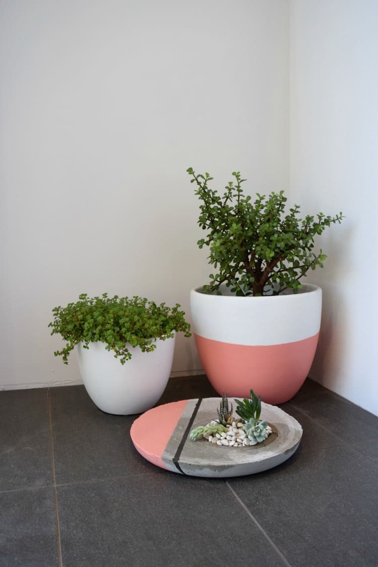 cluster of pot plants and finished Large Concrete Planter