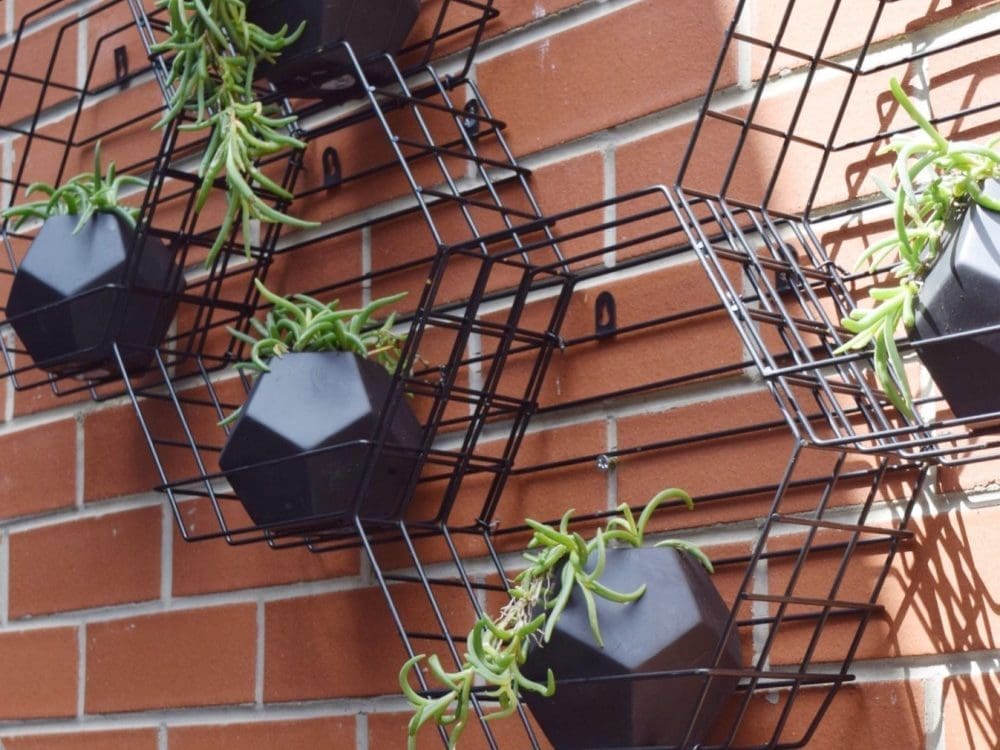 Hexagon vertical garden