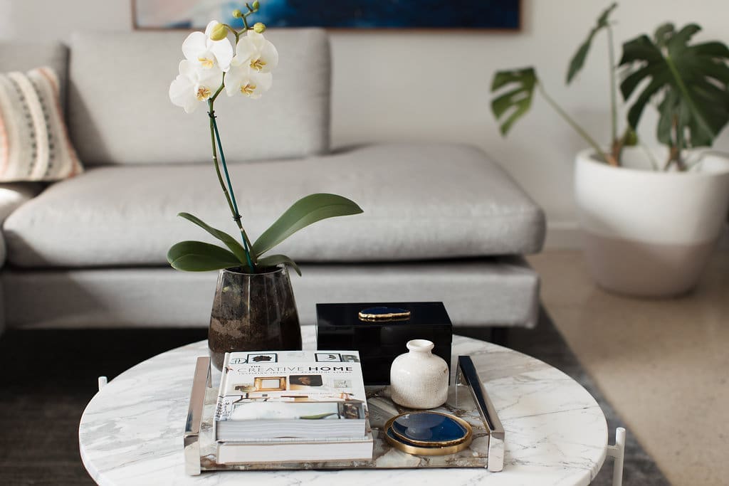 Orchid on coffee table styling your coffee table