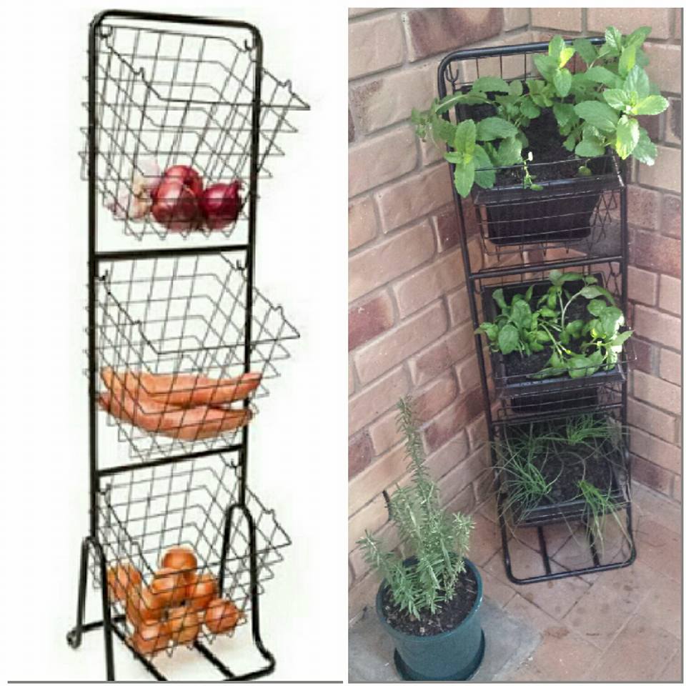 DIY vertical herb garden
