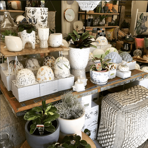 Bliss Homewares where to shop for the home in Canberra