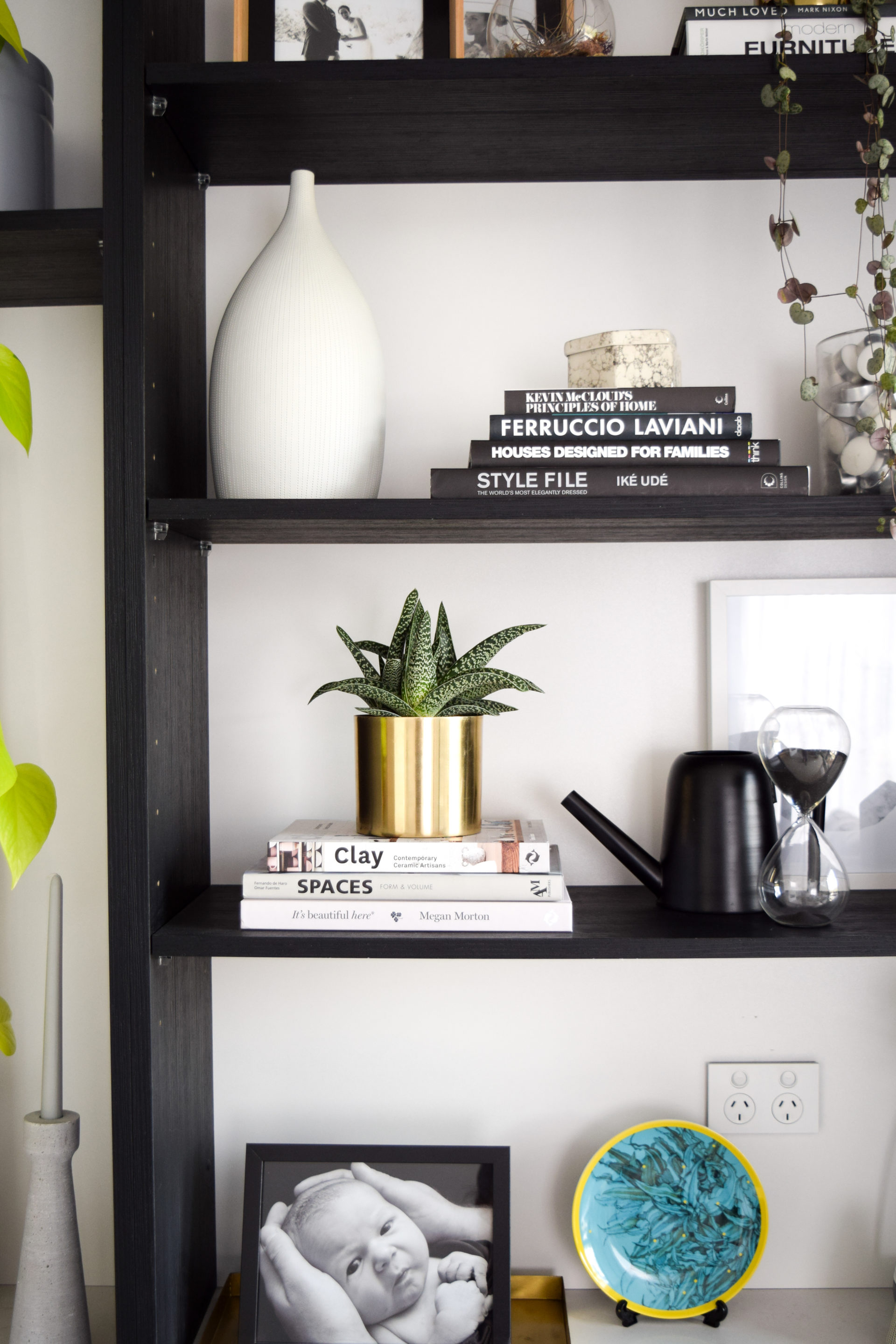 Top 10 trending indoor plants and where to use them | Style Curator