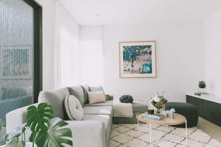 Top 10 trending indoor plants and where to use them Style Curator