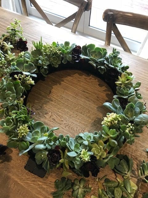 Fill the wreath with succulents